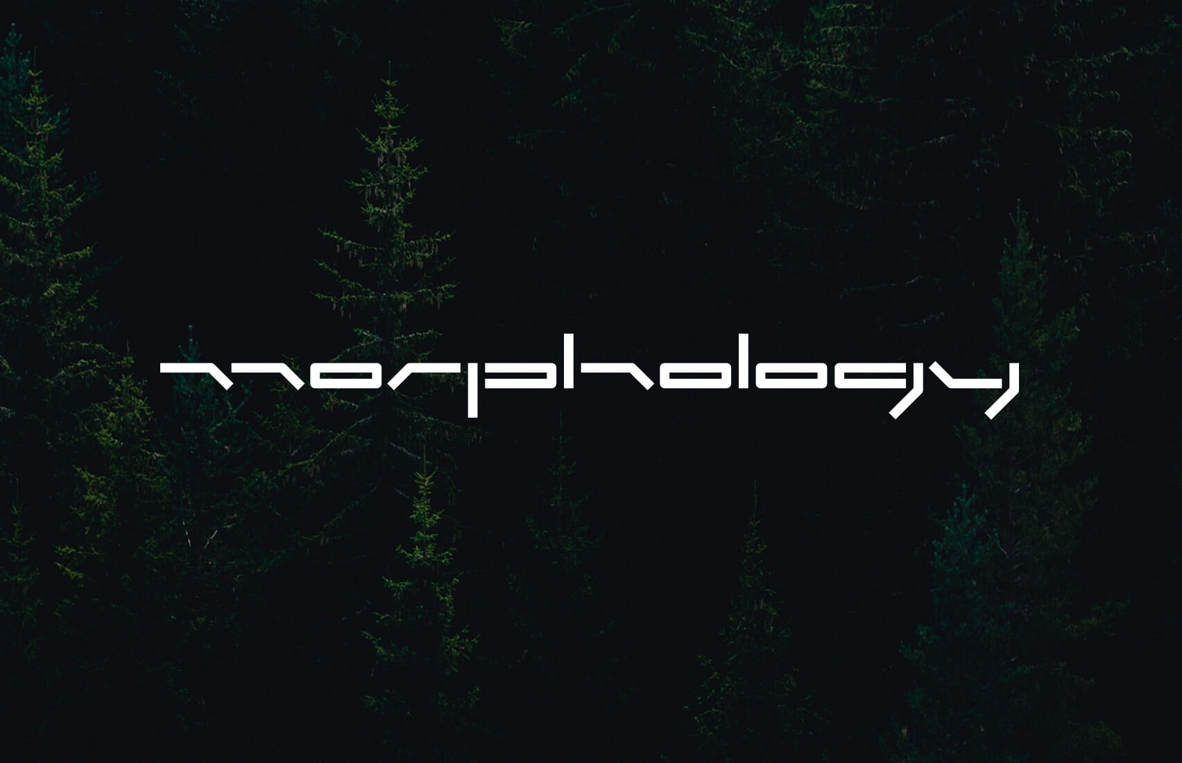 Morphology wordmark